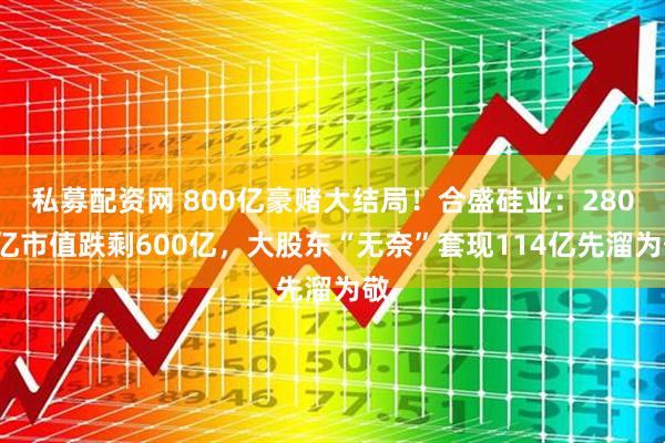 私募配资网 800亿豪赌大结局！合盛硅业：2800亿市值跌剩600亿，大股东“无奈”套现114亿先溜为敬